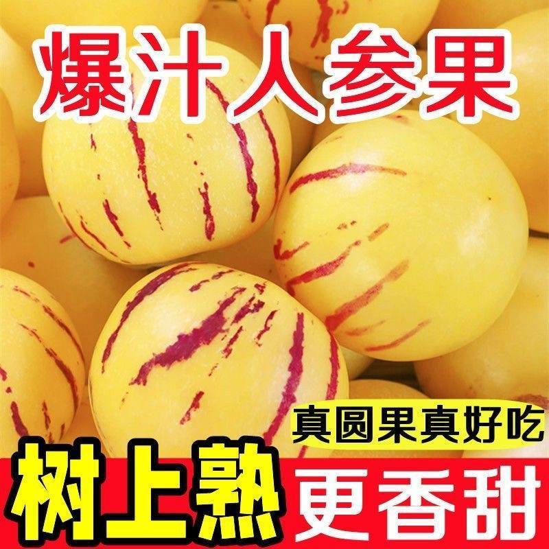 人参果自然熟直播电商社区团购欢迎电联