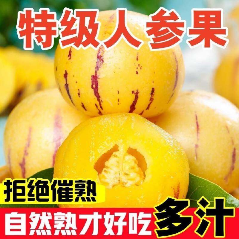 人参果自然熟直播电商社区团购欢迎电联