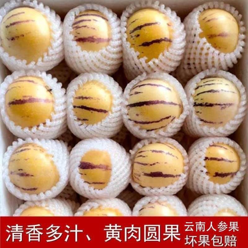 人参果自然熟直播电商社区团购欢迎电联