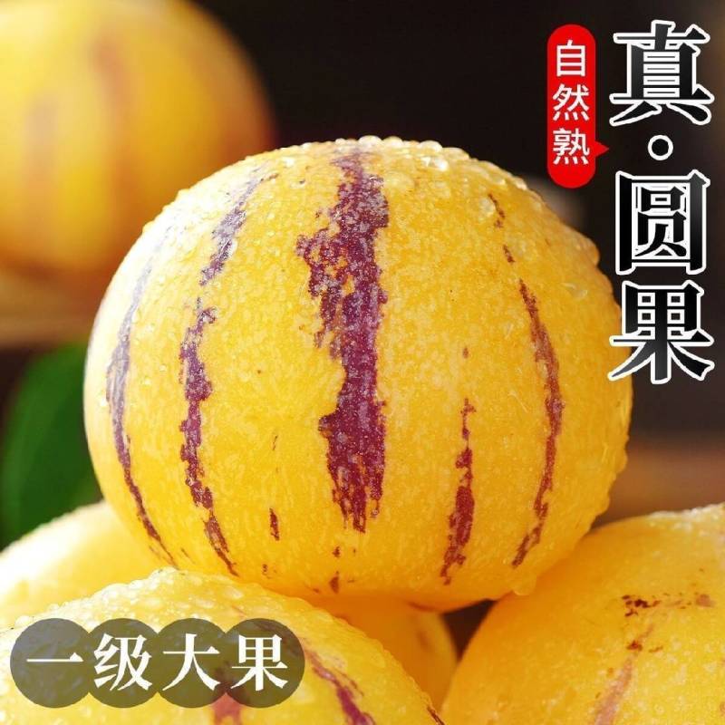 人参果自然熟直播电商社区团购欢迎电联
