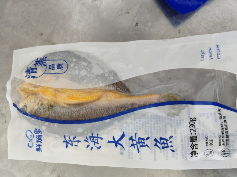 东海大黄鱼