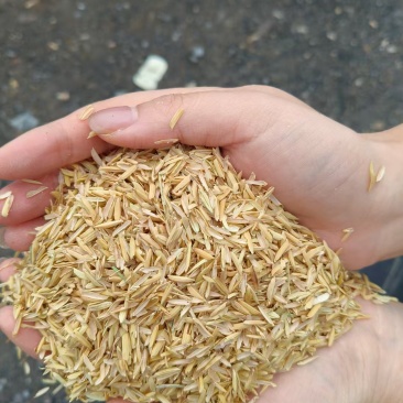 江西打包稻壳