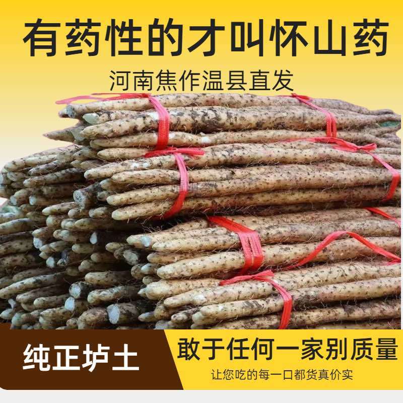 河南焦作温县新鲜当无硫垆土铁棍山药马蹄片（有药效）