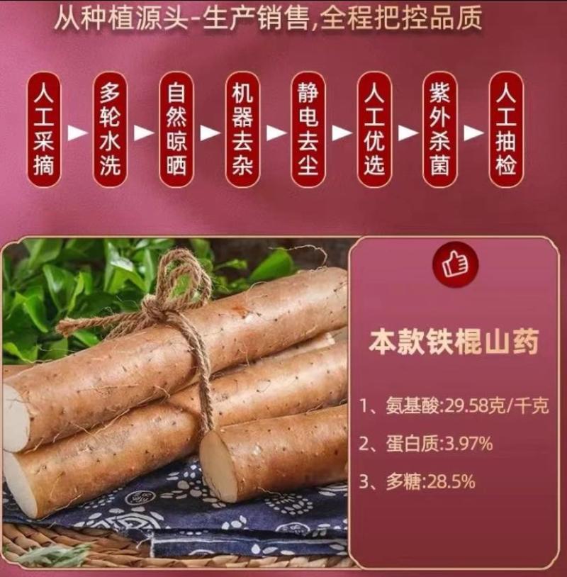 河南焦作温县新鲜当无硫垆土铁棍山药马蹄片（有药效）