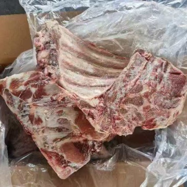 母猪去颈前排带翅10kg3-4片25.2月临沂提货