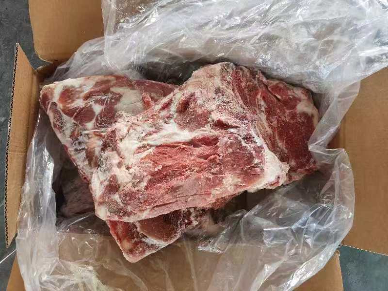 母猪去颈前排带翅10kg3-4片25.2月临沂提货