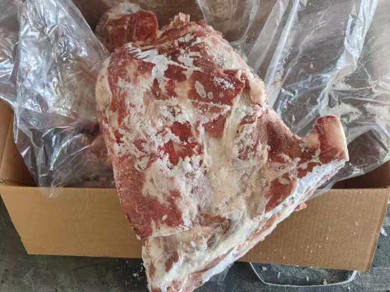 母猪去颈前排带翅10kg3-4片25.2月临沂提货