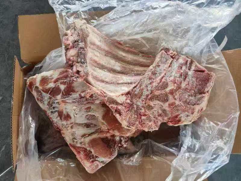 母猪去颈前排带翅10kg3-4片25.2月临沂提货