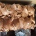 食品鹅肝小包纯干5吨
