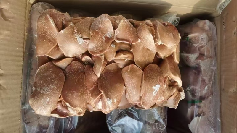 食品鹅肝小包纯干5吨