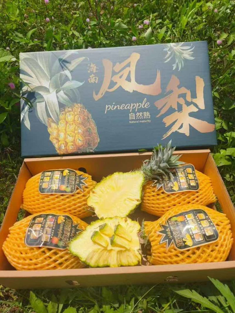 海南正宗芒果凤梨、支持一件代发