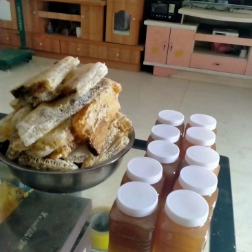 野蜂蜜天然蜂蜜***剂质量保证可视频看货