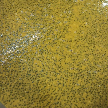 百香果肉纯手工百香果冷冻原浆百香果脱籽冷冻原浆百香果汁