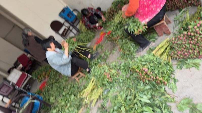 芍药花