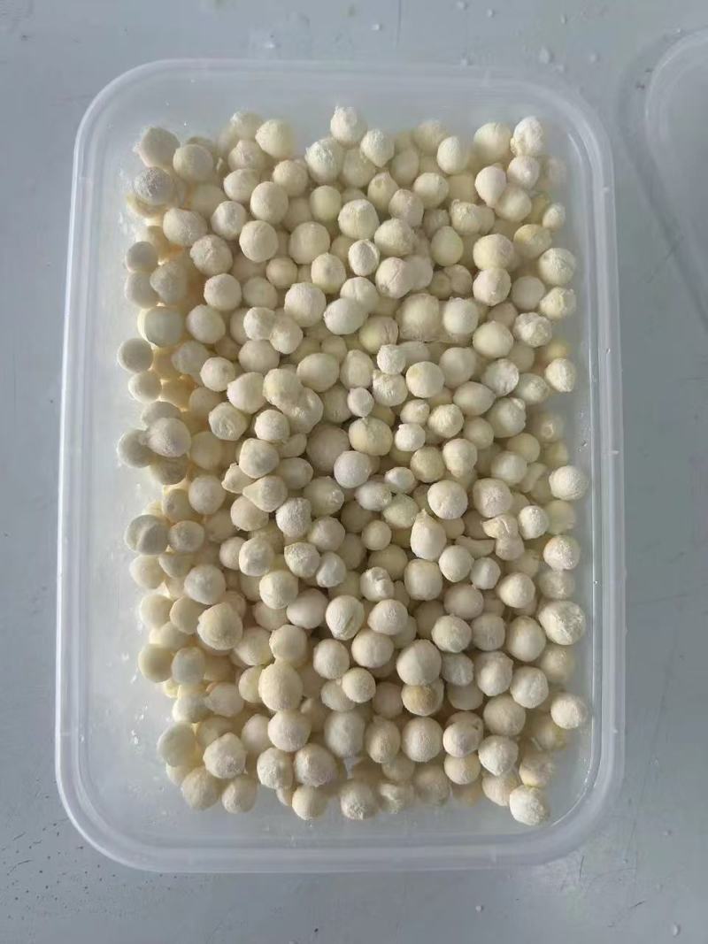 鲜芡实