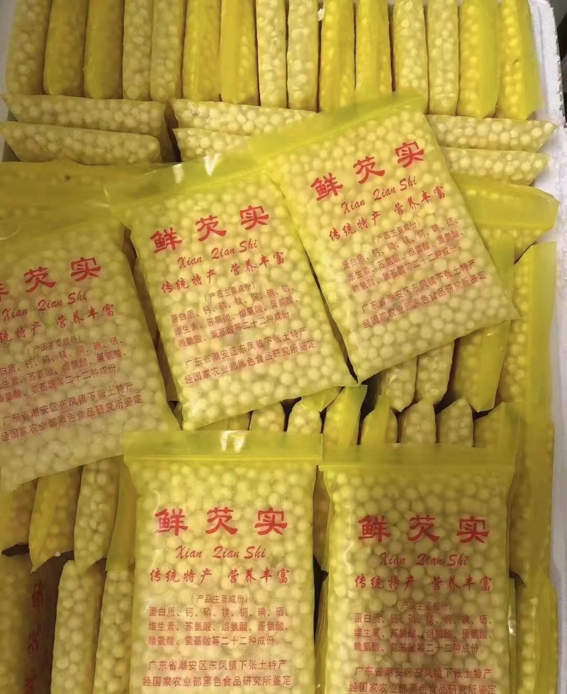 鲜芡实