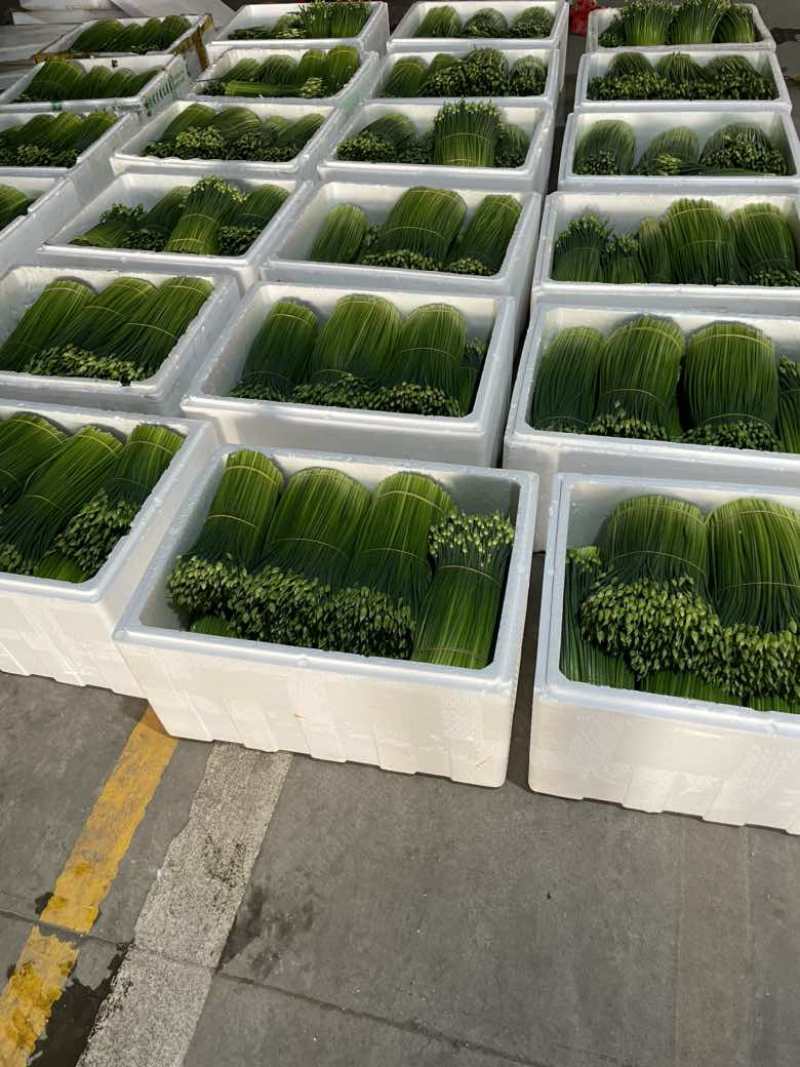 韭菜苔