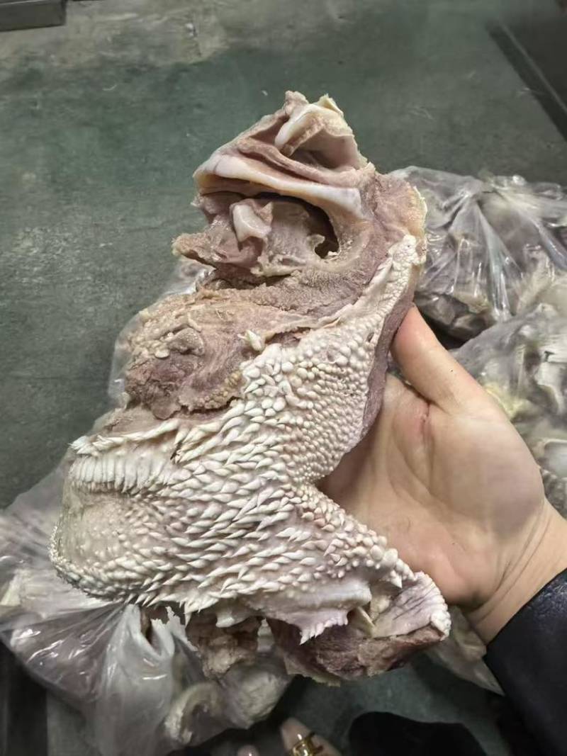全熟刀削毛牛嘴巴