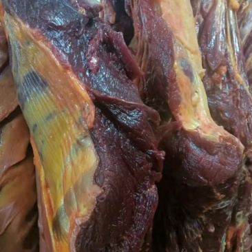 马肉批发量大更优惠