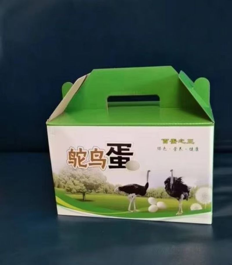 鸵鸟蛋