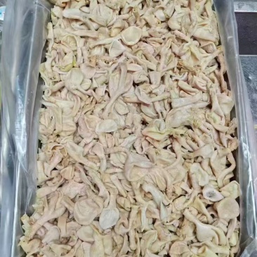 大肉食鸡嗉皮10吨