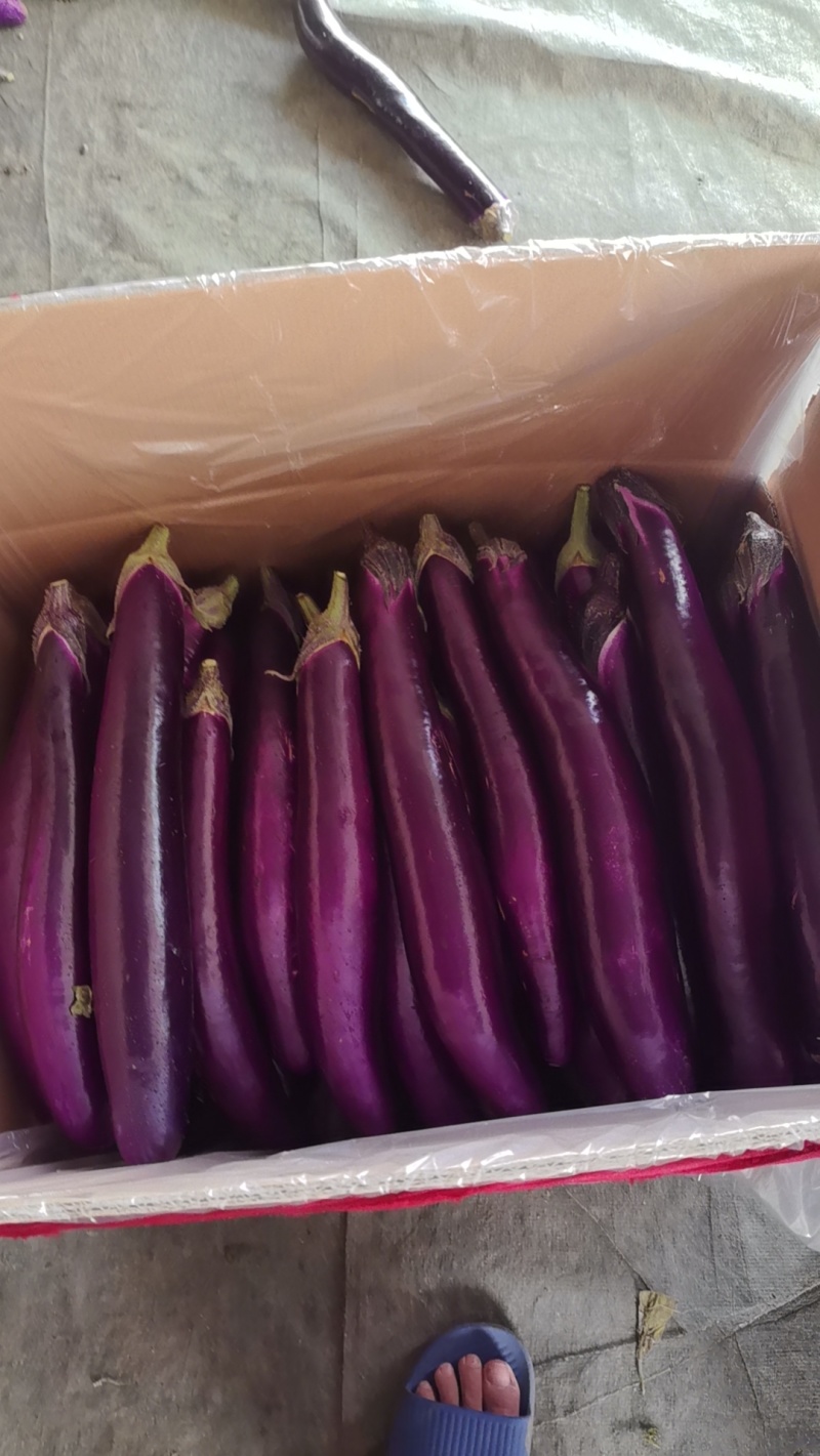 精品箱烟箱