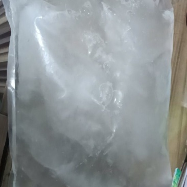 白桦树汁