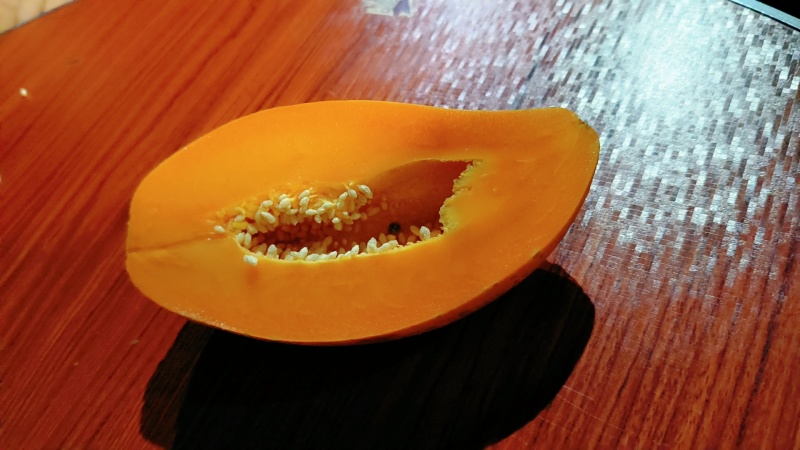 大青水果木瓜