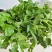 东北山野菜老山芹／老唐芹