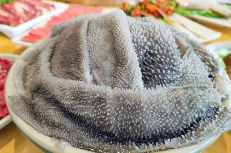 精品火锅食材毛肚百叶