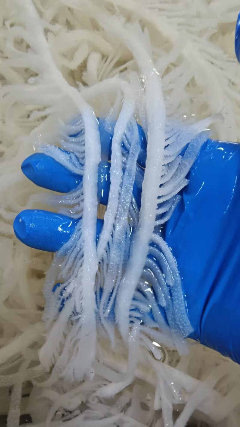 精品火锅食材毛肚百叶