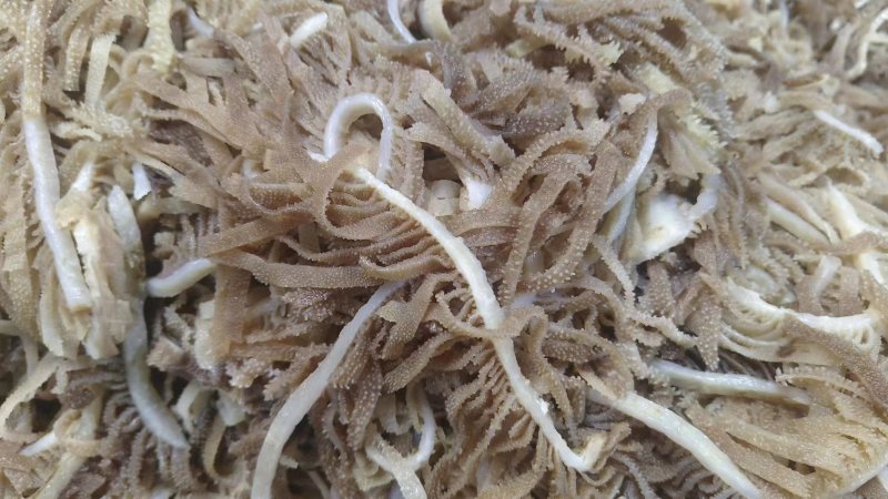 精品火锅食材毛肚百叶