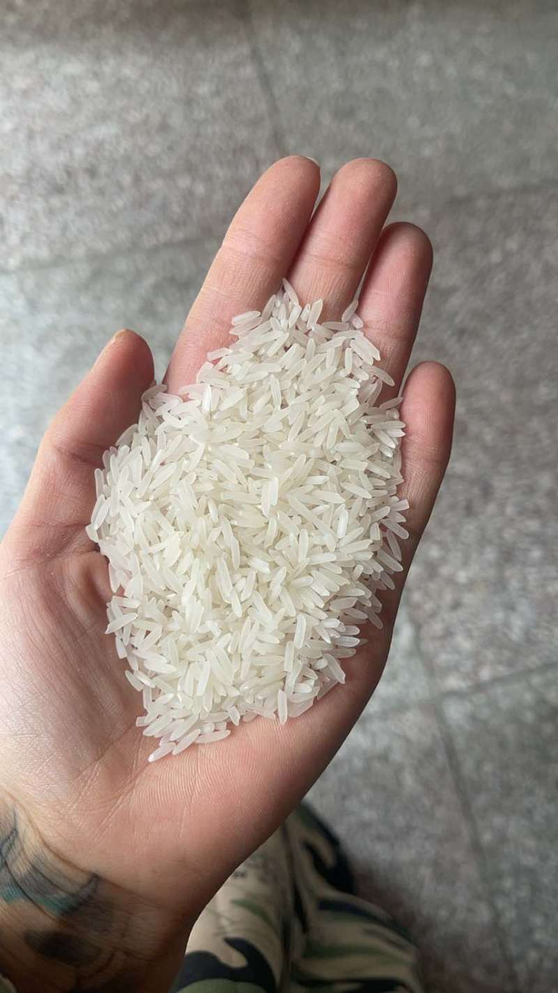 广西香米