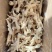 鸡爪大肉食鸡爪母鸡三黄各种品种齐全质量产量稳定手续齐全国物流