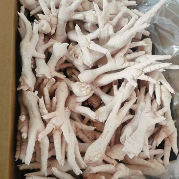 鸡爪大肉食鸡爪母鸡三黄各种品种齐全质量产量稳定手续齐全国物流