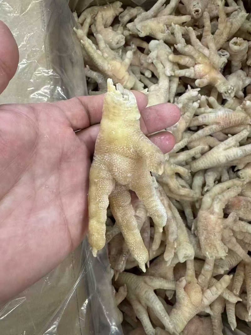 鸡爪大肉食鸡爪母鸡三黄各种品种齐全质量产量稳定手续齐全国物流