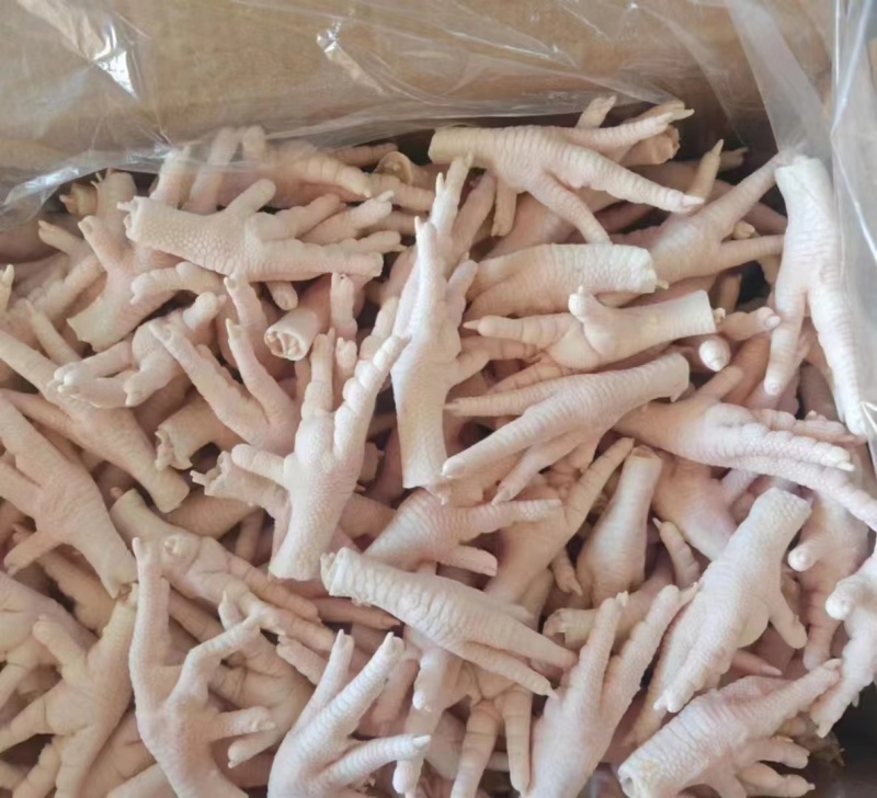 鸡爪大肉食鸡爪母鸡三黄各种品种齐全质量产量稳定手续齐全国物流