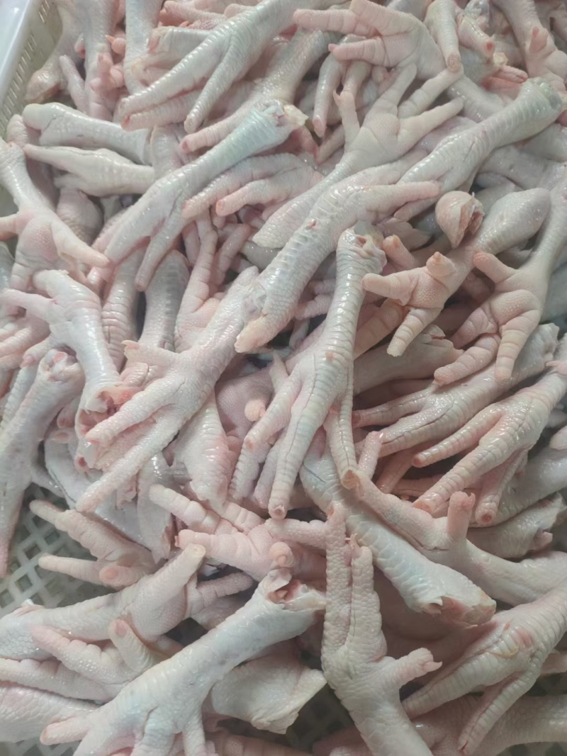 鸡爪大肉食鸡爪母鸡三黄各种品种齐全质量产量稳定手续齐全国物流