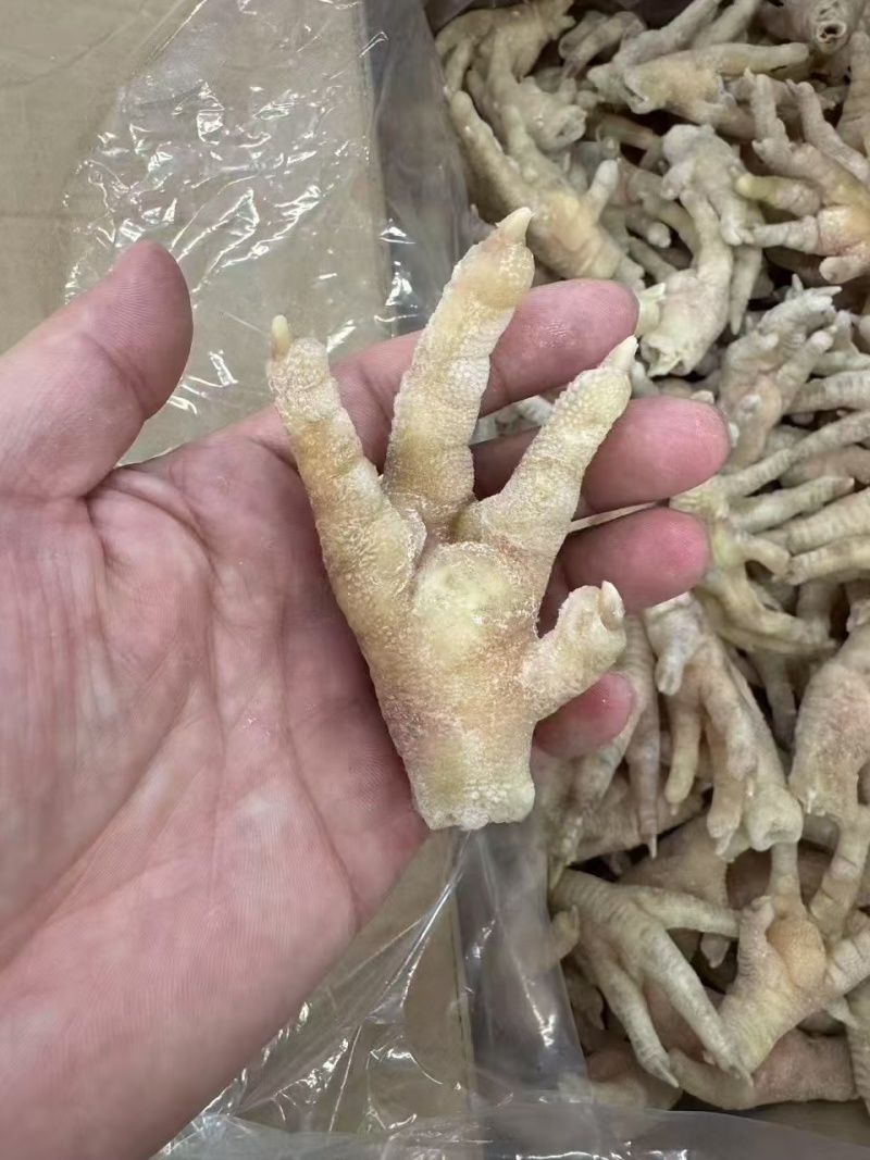 鸡爪大肉食鸡爪母鸡三黄各种品种齐全质量产量稳定手续齐全国物流