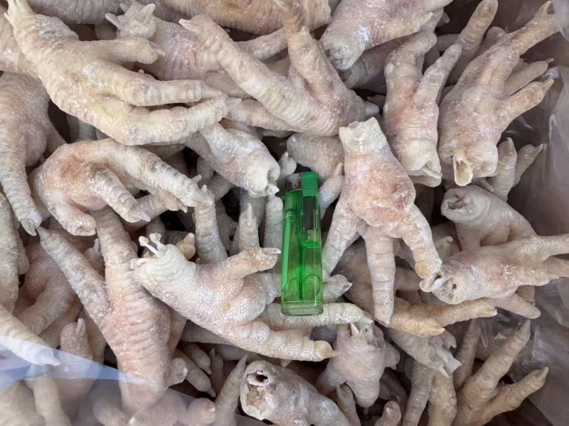 鸡爪大肉食鸡爪母鸡三黄各种品种齐全质量产量稳定手续齐全国物流