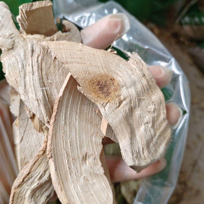 中药材臭梧桐根1公斤臭梧桐根皮八角梧桐正品保证