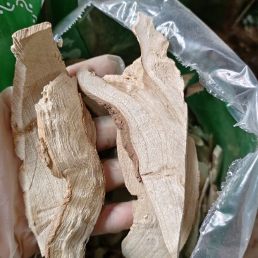 中药材臭梧桐根1公斤臭梧桐根皮八角梧桐正品保证