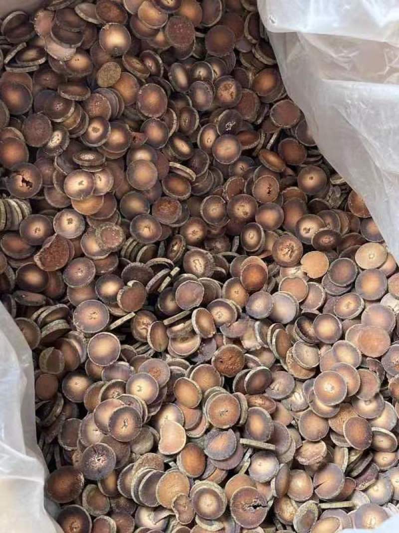 正宗化橘红种植基地自产自销