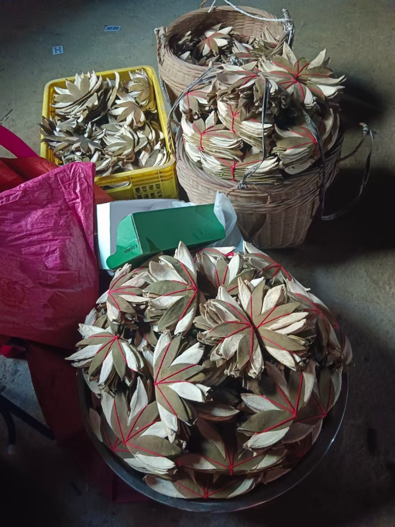 正宗化橘红种植基地自产自销