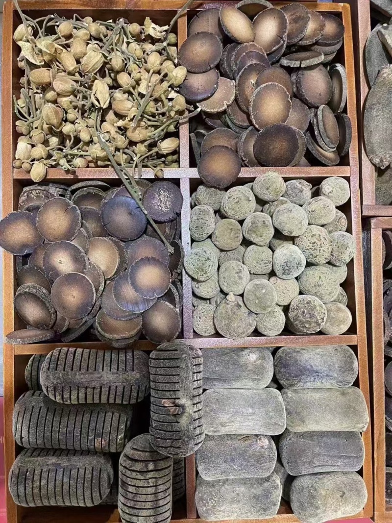 正宗化橘红种植基地自产自销