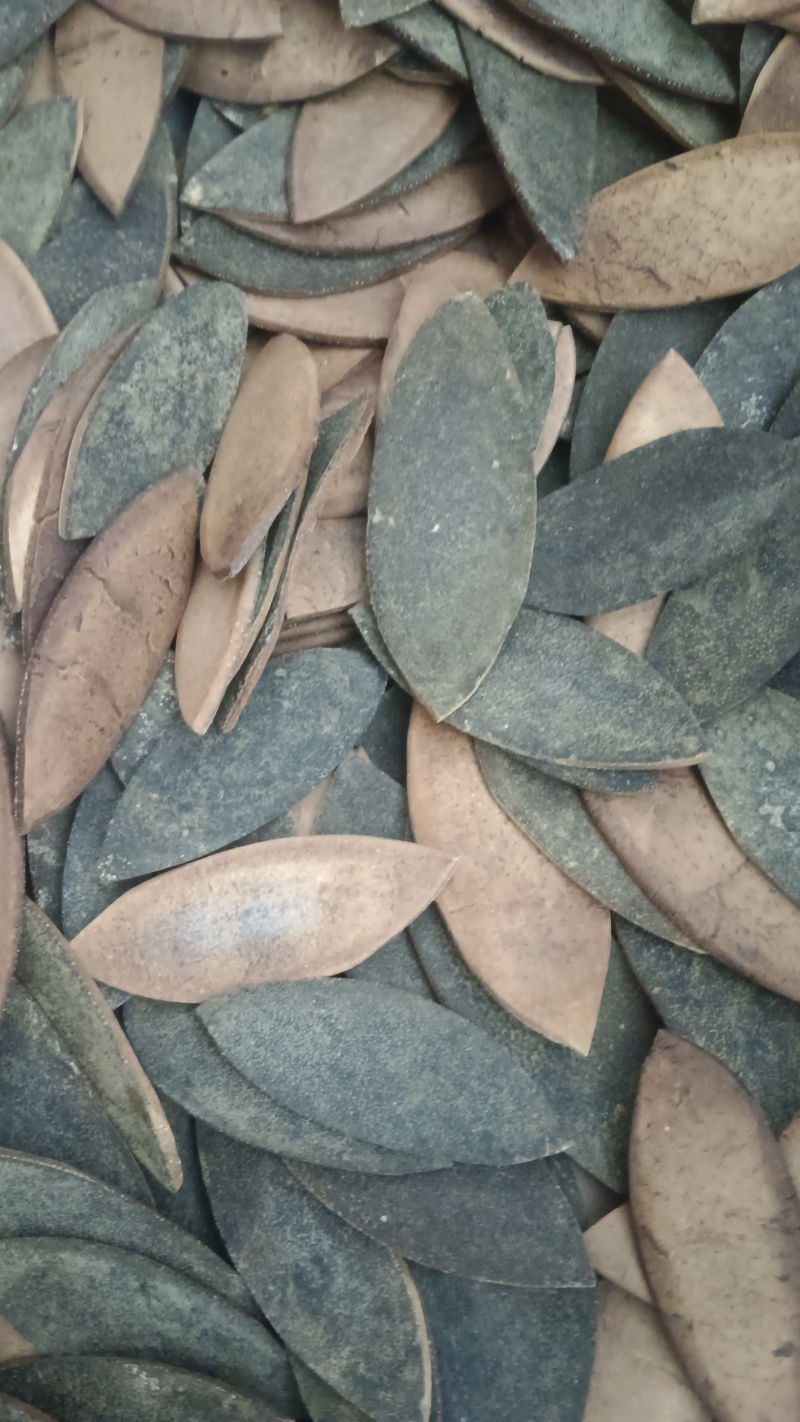 正宗化橘红种植基地自产自销