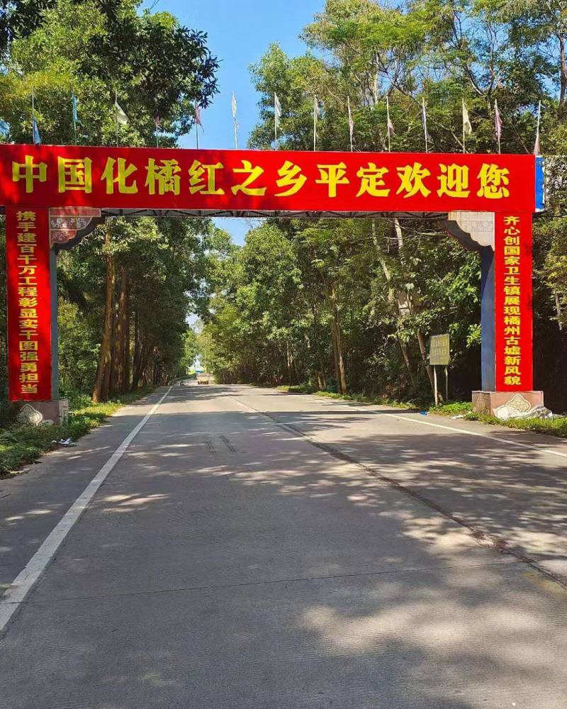 正宗化橘红种植基地自产自销
