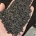 知母种子量大价优支持视频看货欢迎来电洽谈