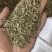 前胡种子5斤以上非边远地区包邮！量大价优欢迎来电