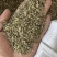 前胡种子5斤以上非边远地区包邮！量大价优欢迎来电
